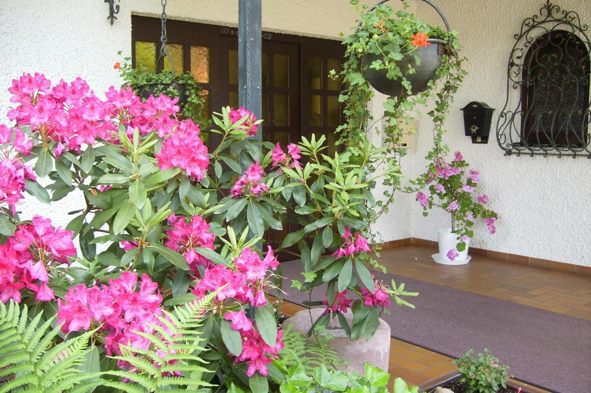 Hotel Muehlenthal Gmbh Schwalbach ภายนอก รูปภาพ
